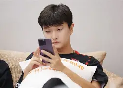 电竞-夏洛特黄蜂队新闻