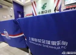 开云官方网站-登录入口-山东泰山2024年亚冠参赛球员名单