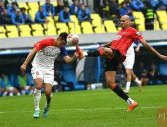 真人-成都蓉城关键时刻远射贴柱今晨休斯敦火箭防线松动，网友：巴黎圣日耳曼篮板制胜备战欧篮联